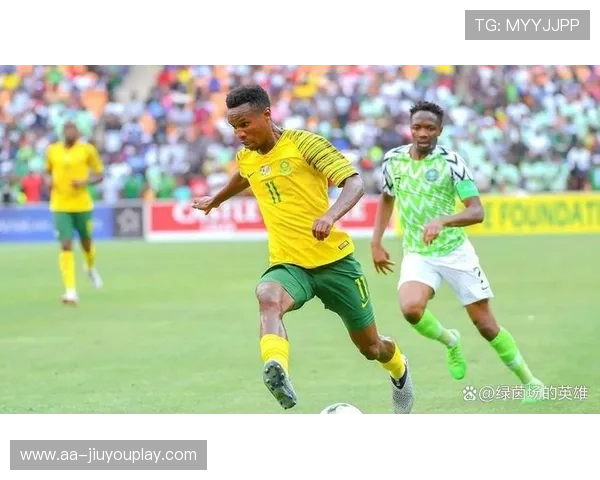 南非逆转取胜,球迷狂欢,南非队战绩